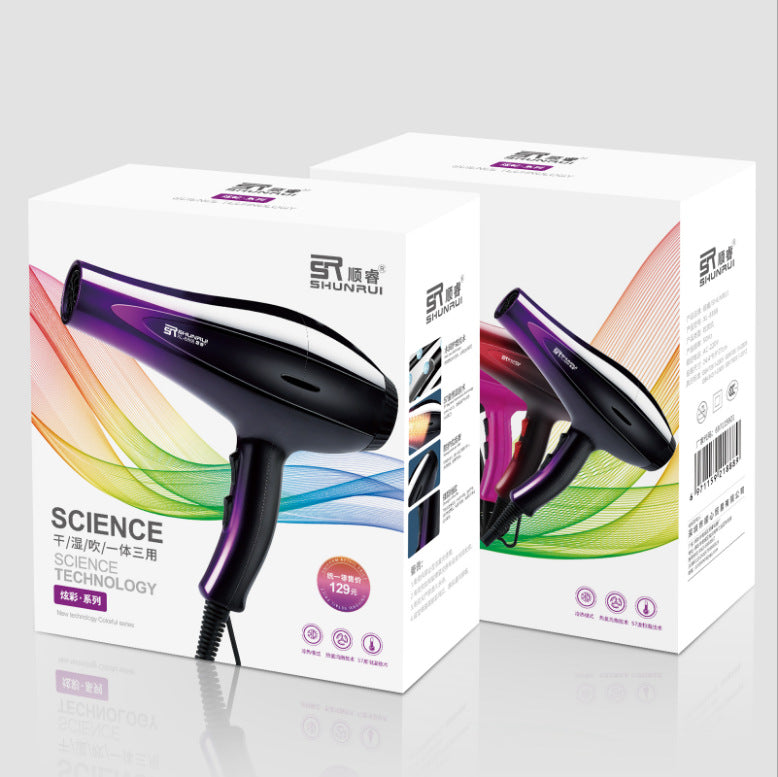 Household Hair Dryer