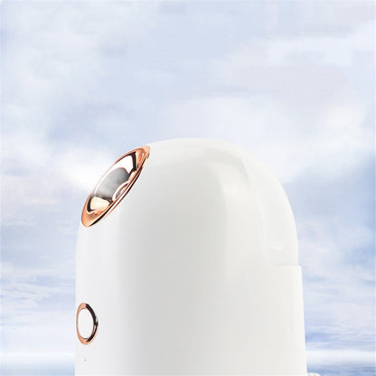 Radiance Face Steamer