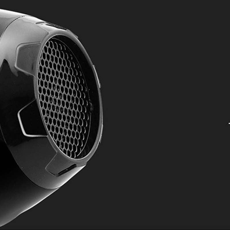Ion Dryer