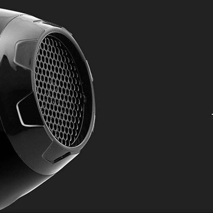 Ion Dryer