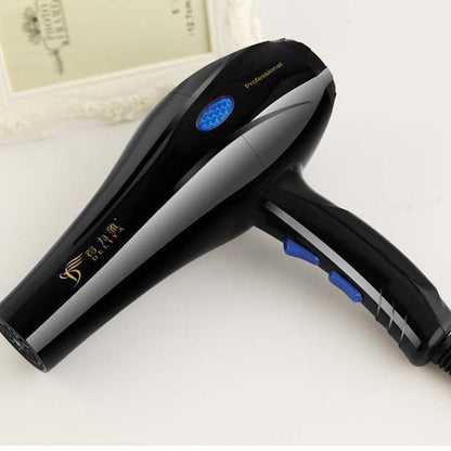 Ion Dryer