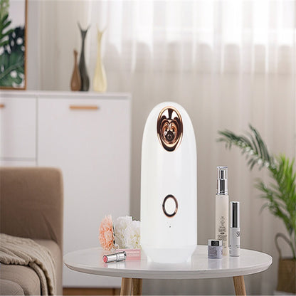 Radiance Face Steamer